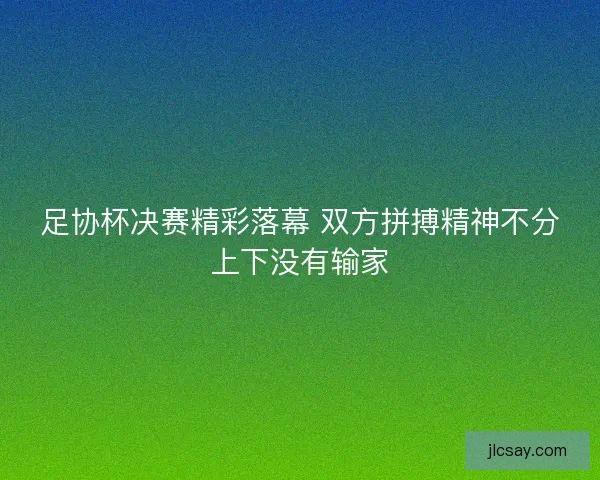 足协杯决赛精彩落幕 双方拼搏精神不分上下没有输家